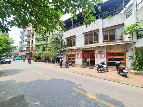 RARE STREET, EXTREMELY RARE HOUSES FOR SALE<br \/><br \/> A GIRL WHO LIVES ON PHAM NGOC THACH AND NGUYEN NGOC DOAN STREETS.. _0