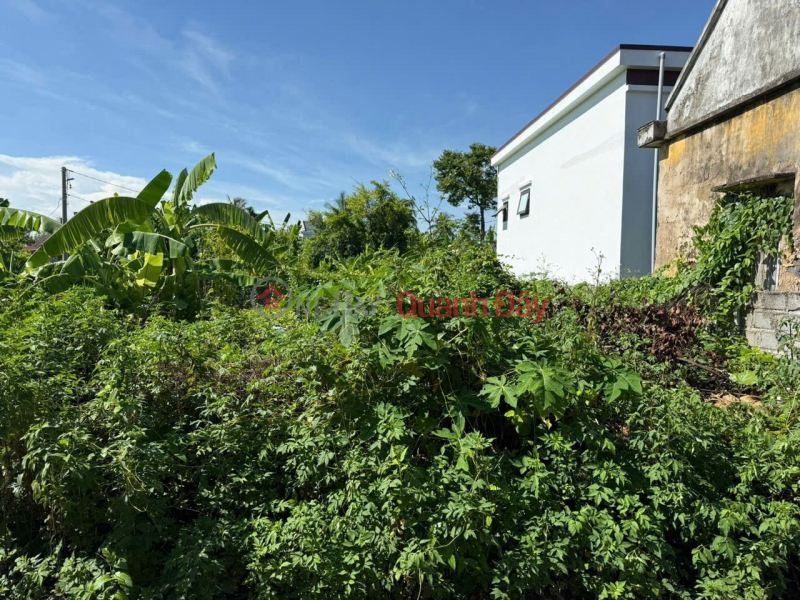 61.6M² TRUNG TÂM BÀNG LA – Ô TÔ ĐỖ CỬA – GIÁ CHỈ HƠN 8XX TRIỆU – CỬA VỐN HIẾM ZALO 0567 222 555 Niêm yết bán