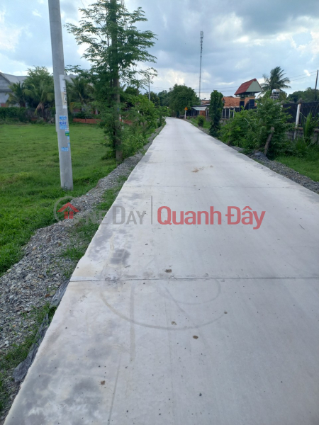 ₫ 5.04 Billion | OWNER Needs to Quickly Sell 2 Lots of Land in Nice Location on An Son Street, An Ninh Tay, Duc Hoa, Long An