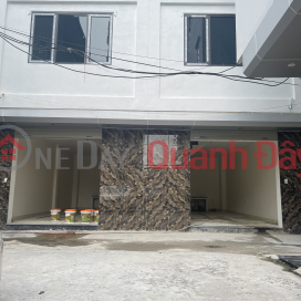 Newly built 4-storey house for sale in group 28 of Dong Anh town for just over two billion _0