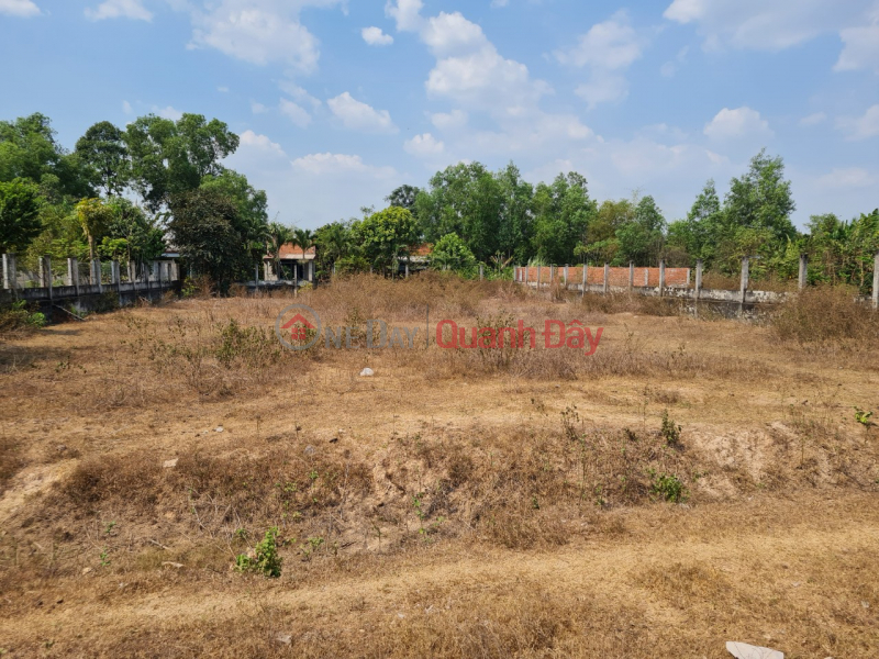 Property Search Vietnam | OneDay | Niêm yết bán | Bán đất Mặt tiền đường D9T, tại xã Lộc Giang, huyện Đức Hòa, tỉnh Long An