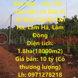 Beautiful Land - Good Price - Beautiful Land Lot for Sale in Tan Ha Commune, Lam Ha, Lam Dong _0