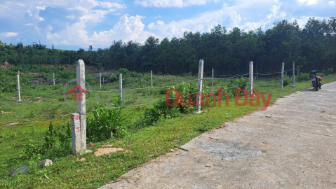 The owner needs to wholesale a full residential land plot divided into 3 lots in Khanh Binh, Khanh Vinh _0