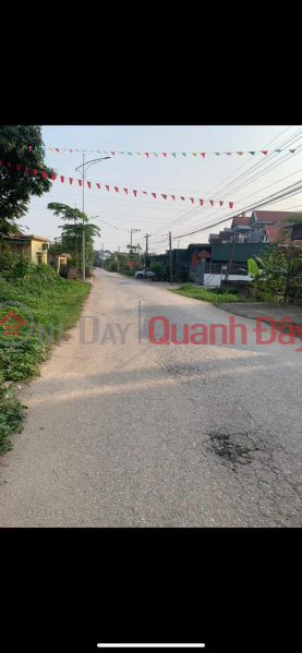 Property Search Vietnam | OneDay | Residential | Sales Listings | PRIME LAND - GOOD PRICE QUICK SELLING LAND in area 5, Dan Quyen, Tam Nong, Phu Tho