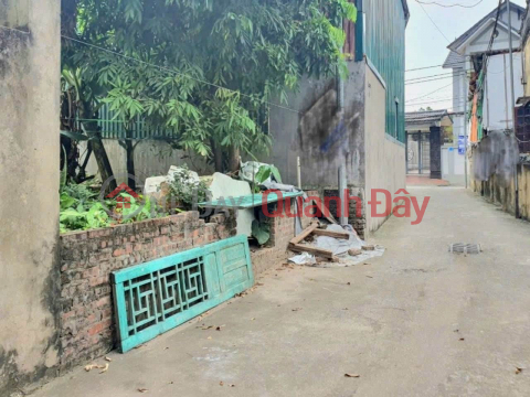 LAND FOR SALE IN THANH TRUNG. 50M2 * 5.35 BILLION. ALLEY, NEAR CAR PASS. _0