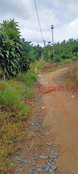 Property Search Vietnam | OneDay | Residential, Sales Listings BEAUTIFUL LAND - GOOD PRICE - For Sale Land Lot Great Location In Loc Nam Commune, Bao Lam District, Lam Dong Province
