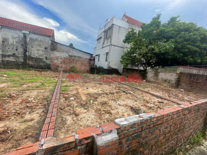 Property Search Vietnam | OneDay | Residential Sales Listings | OWNER NEEDS TO SELL 60.7M2 LAND LOT IN DAI YEN-CHUONG MY-HANOI