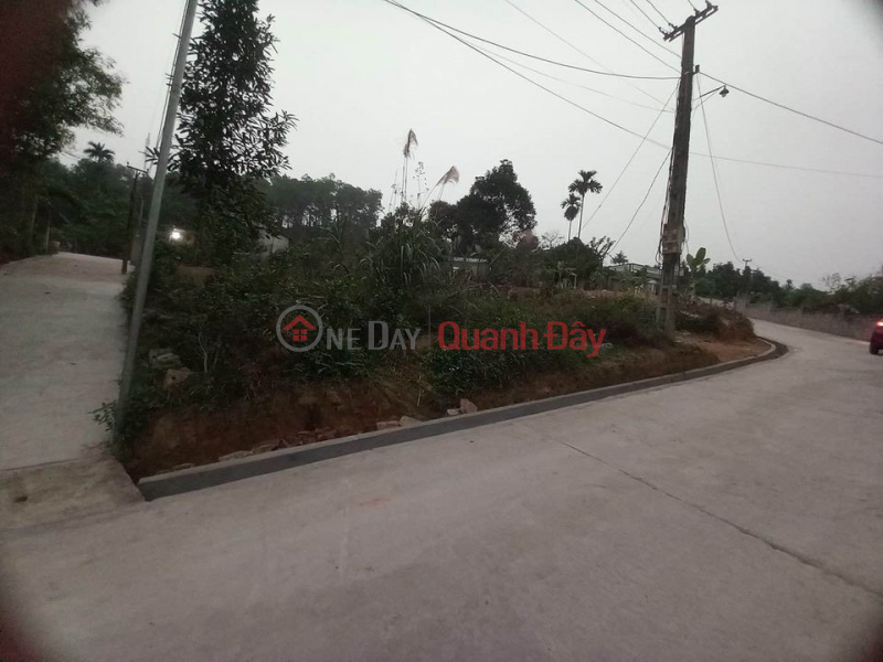 Property Search Vietnam | OneDay | Residential, Sales Listings | The owner needs to quickly sell the plot of land, belonging to Group 9 - Alley 683 - Yen Ninh Ward - Yen Bai City