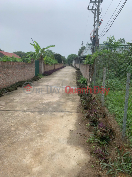Property Search Vietnam | OneDay | Residential Sales Listings BEAUTIFUL LAND - GOOD PRICE - Need to Sell Quickly Land Lot on Provincial Road 411C, Phu Son Commune, Ba Vi District, Hanoi