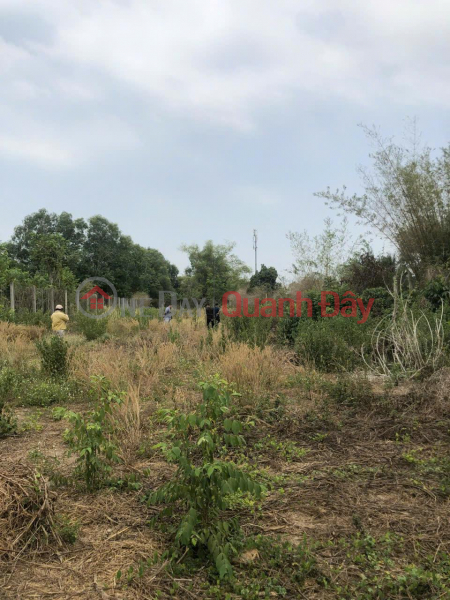 BEAUTIFUL LAND - PROFITABLE INVESTMENT - Owner sells land lot in Xa Bang, Chau Duc, Ba Ria Vung Tau. Vietnam Sales, đ 10 Million