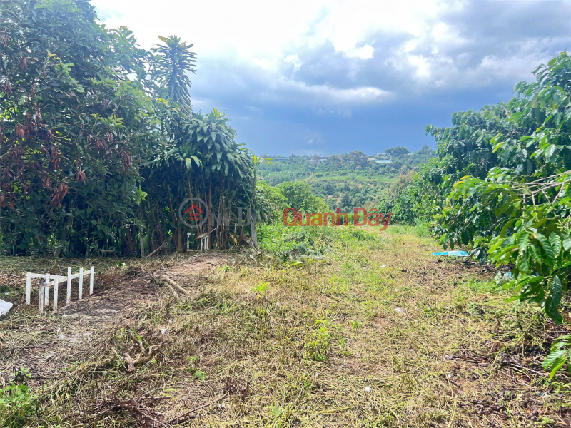 đ 1.1 Billion, LAND LOT IN GOOD LOCATION - INVESTMENT IS PROFITABLE. NEED TO QUICKLY SELL LAND LOT IN Bao Loc CITY, Lam Dong Province