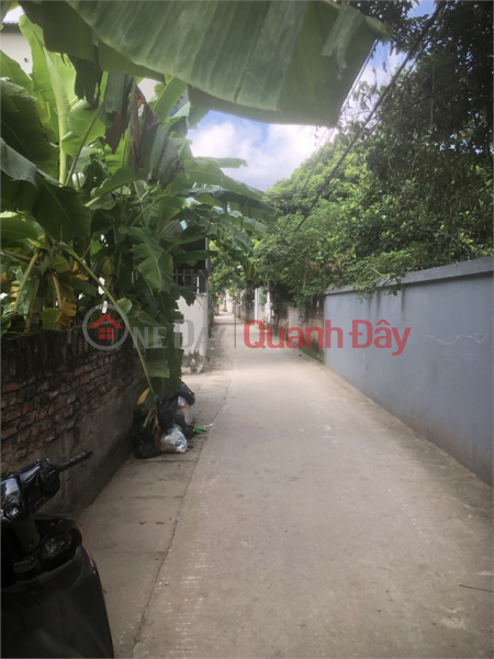 Property Search Vietnam | OneDay | Nhà ở, Niêm yết bán Tôi bán 50m đường ô tô Sát TT chúc sơn chỉ hơn 700tr