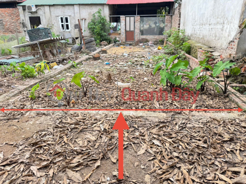 Cơ hội đầu tư BDS Kim Hoa, Mê Linh. Sổ đỏ chính chủ. Đón sóng đường vành đai 4 _0