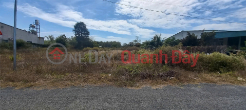 PRIME LAND – GOOD PRICE – OWNER NEEDS TO SELL 2 PLOTS OF LAND IN THANH AN HAMLET, THANH BINH COMMUNE, TAN BIEN DISTRICT, TAY NINH PROVINCE. _0