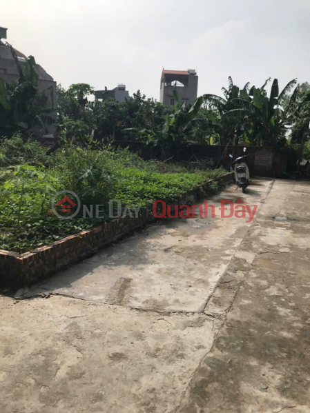 Property Search Vietnam | OneDay | Residential | Sales Listings | Land for sale 52m Dai Ang Thanh Tri, alley 2.5m wide, cheap price only 2.x billion