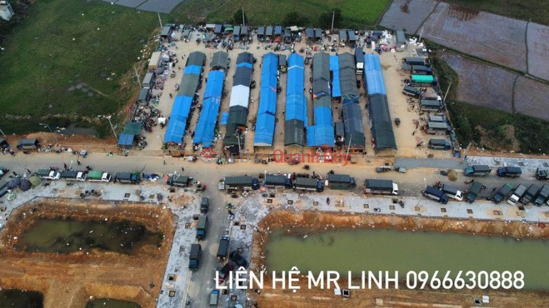 Property Search Vietnam | OneDay | Nhà ở Niêm yết bán, Bán gấp đất phân lô thôn 6 Lưỡng Vượng (chợ đêm) - 2 mặt thoáng