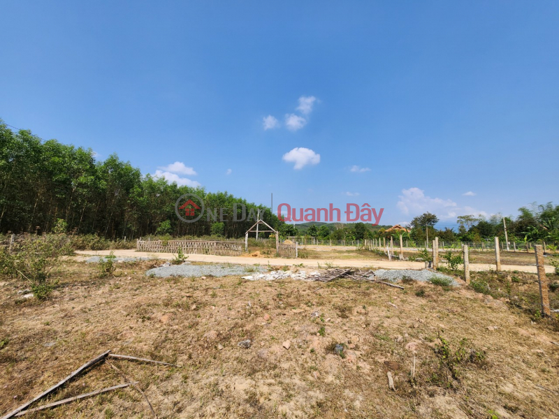 The owner sells 2 beautiful plots of land near the river bank, with spacious concrete road frontage at Song Cau - Khanh Vinh!!! | Vietnam, Sales, đ 982 Million