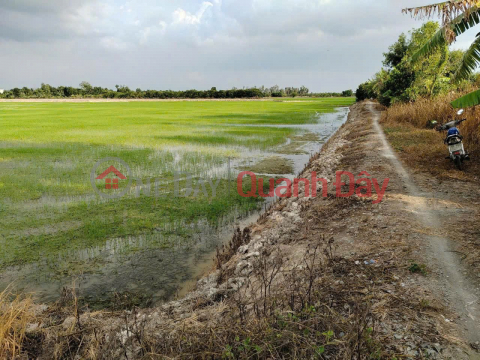 CƠ HỘI ĐẦU TƯ GIÁ TỐT - Chính Chủ Bán 2 Mảnh Đất Nông Nghiệp xã Tân Phú Trung, Châu Thành, Đồng Tháp _0