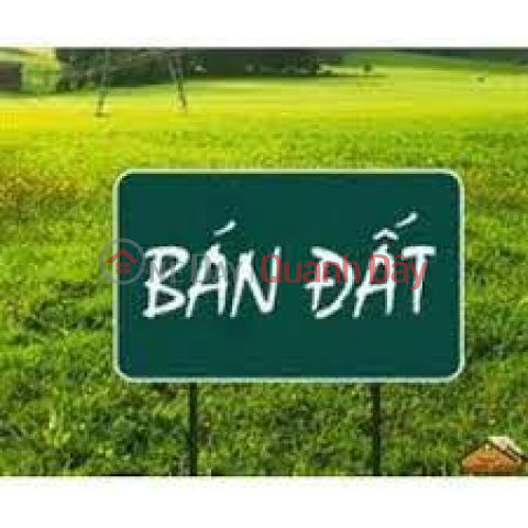The owner urgently sells the land in Tam Hiep, Thanh Tri, Hanoi _0