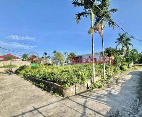 PRIME LAND - SPECIAL PRICE! OWNER NEEDS MONEY, SELLING QUICKLY A POTENTIAL PLOT OF LAND IN DO SON DISTRICT (formerly),HAI PHONG CITY. _0