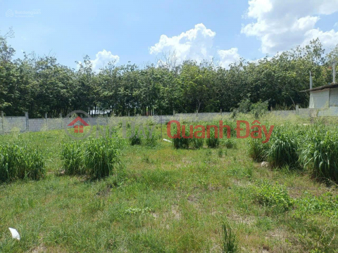 OWNER SELLING 4,714.6M2 LAND WITH TITLE DEED RIGHT AT THE GATE OF MINH HUNG III INDUSTRIAL PARK _0