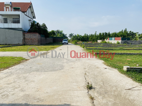 Land for sale Huong Dinh Mai Dinh, car road 4.5m near Noi Bai industrial park, martial street, price around 1 billion _0