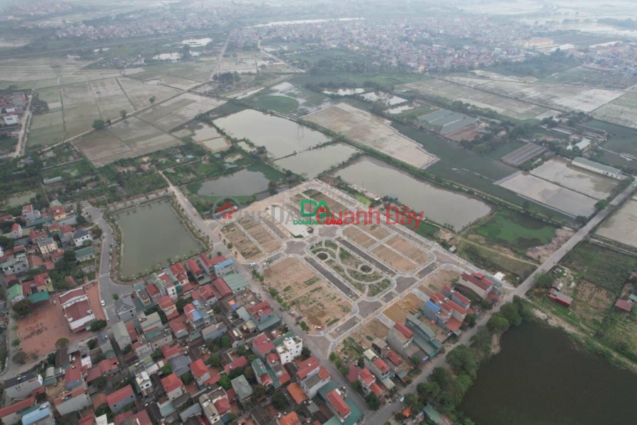 Cheapest AUCTION land for sale in Dong Anh district - X6 Ha Lo Lien Ha. Sales Listings