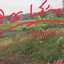 OWNER Needs to Quickly Sell 2 LOT OF LAND in Dong Tinh Commune, Tam Duong District, Vinh Phuc. _0