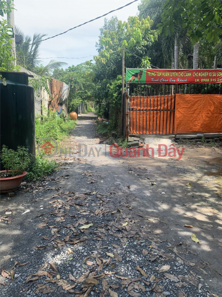 Property Search Vietnam | OneDay | Residential Sales Listings | BEAUTIFUL LAND - GOOD PRICE - FOR URGENT SALE Land Plot In Binh Chanh District, HCM