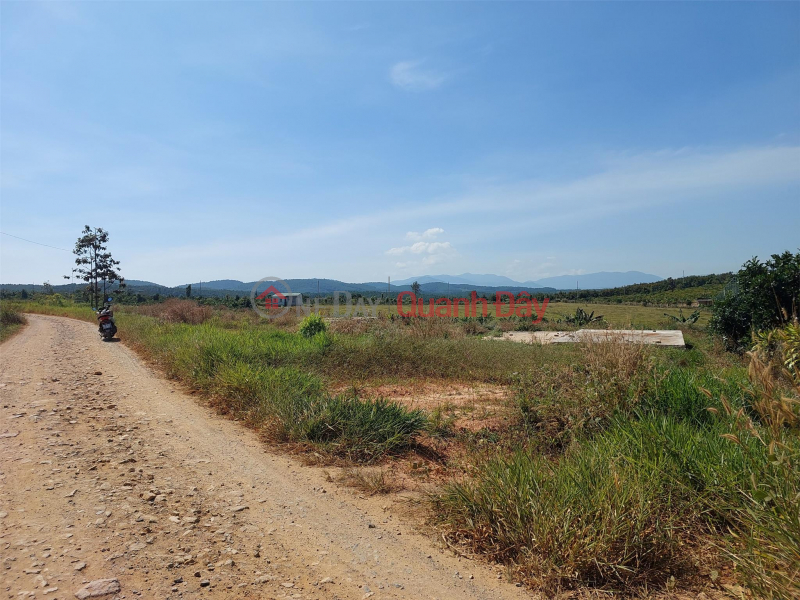 GENERAL LAND- FOR QUICK SALE Beautiful plot of land in Di Linh district, Lam Dong province | Vietnam Sales | đ 900 Million