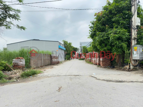 Chính chủ cần tiền gửi bán mảnh đất tại tổ 9 Quang Minh, Mê Linh. Tiện ích ngập tràn _0