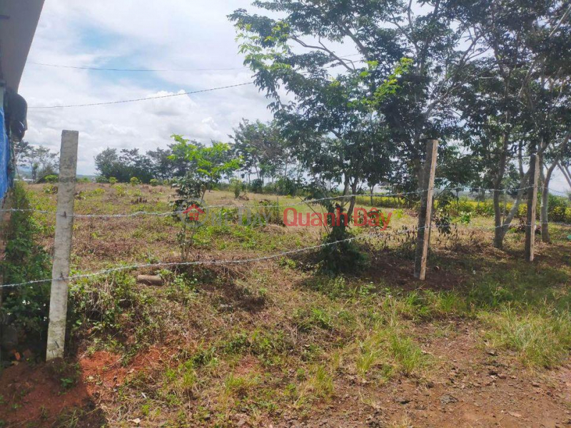 đ 5 Billion LAND BEAUTIFUL LOCATION - GOOD PRICE - For Quick Sale LAND Prime Location In Lien Hiep, Duc Trong, Lam Dong