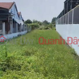 Chính Chủ Bán 1000m2 Đất Tại Ấp 5, Tân Hòa, Huyện Bến Lức, Long An _0