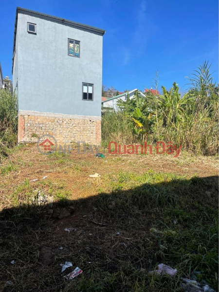 Property Search Vietnam | OneDay | Residential | Sales Listings | Beautiful Land - Good Price - Owner Needs to Sell Lot of Land in Beautiful Location in Ward 9, Da Lat, Lam Dong