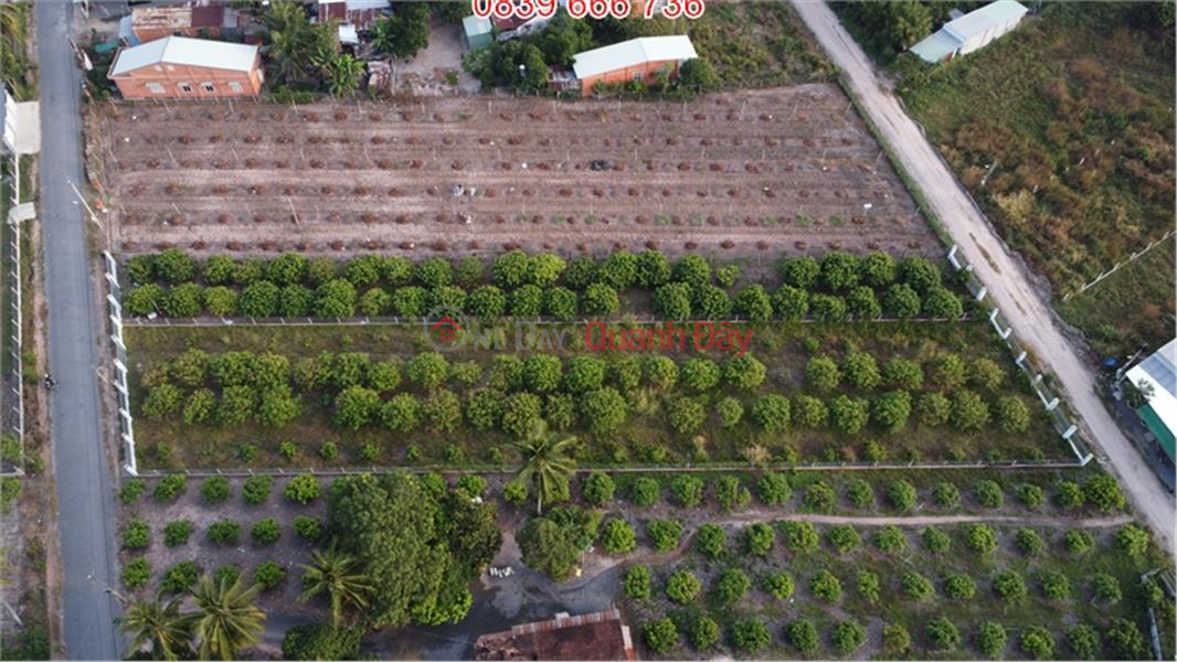 Garden Land For Sale Vietnam | Sales, ₫ 6 Billion