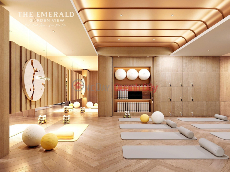 The Emerald Garden View could be a project worth considering, priced at just 239 million VND in Thuan An, Binh Duong. Sales Listings