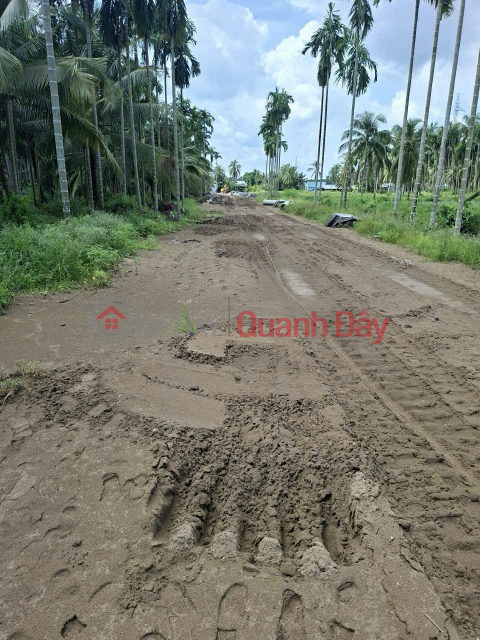 ĐẤT ĐẸP – GIÁ TỐT – CHÍNH CHỦ CẦN BÁN Đất NỀN Xã Bình An Châu Thành, Kiên Giang _0