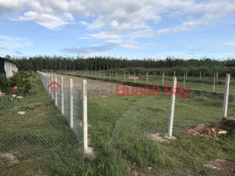 RESIDENTIAL LAND FOR SALE - PRIVATE PINK BOOK IN Suoi Cao B Hamlet, Phuoc Dong Commune, Go Dau District - Tay Ninh _0