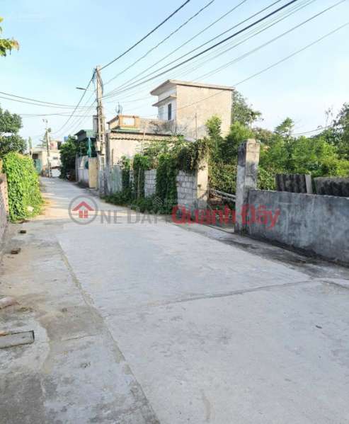 đ 680 triệu, BÁN ĐẤT THÔN ĐÔNG HỒNG XÃ QUỲNH AN (TRƯỚC ĐÂY THUỘC QUỲNH BẢO, QUỲNH PHỤ, THÁI BÌNH)