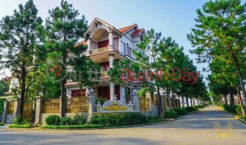 400m2 detached villa at The Phoenix Garden, Dan Phuong - Capitalizing on the West Thang Long Boulevard and Ring Road 4. _0