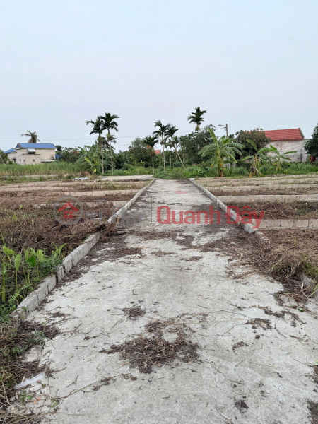 Land for sale at Binh Minh residential area, Hop Duc ward, Do Son district, Hai Phong., Vietnam | Sales | đ 590 Million
