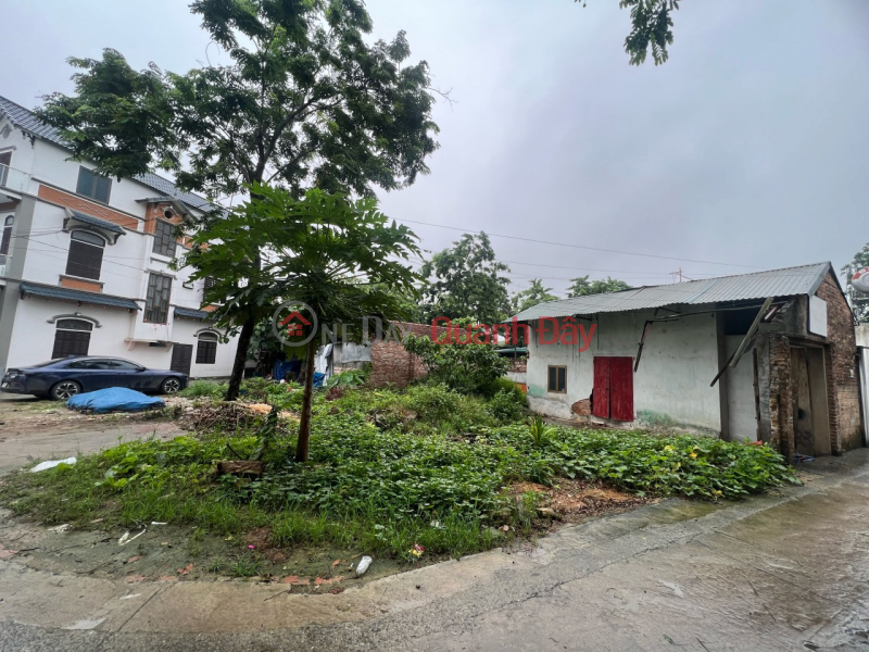 Property Search Vietnam | OneDay | Residential Sales Listings OWNER SELLING LAND LOT AT DONG PHUONG YEN-CHUONG MY-HANOI