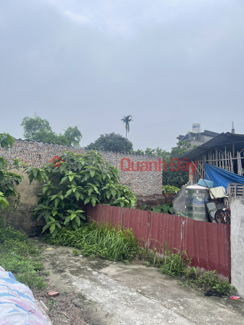 Land for sale in Kinh No village, Uy No commune, Dong Anh district, Hanoi 90m . Price 2x _0