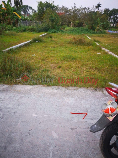 Land for sale in Quyet Tien 2, Hop Duc, Do Son, rare investment opportunity under 1 billion VND. ZALO 0567 222 555 Vietnam | Sales | đ 970 Million