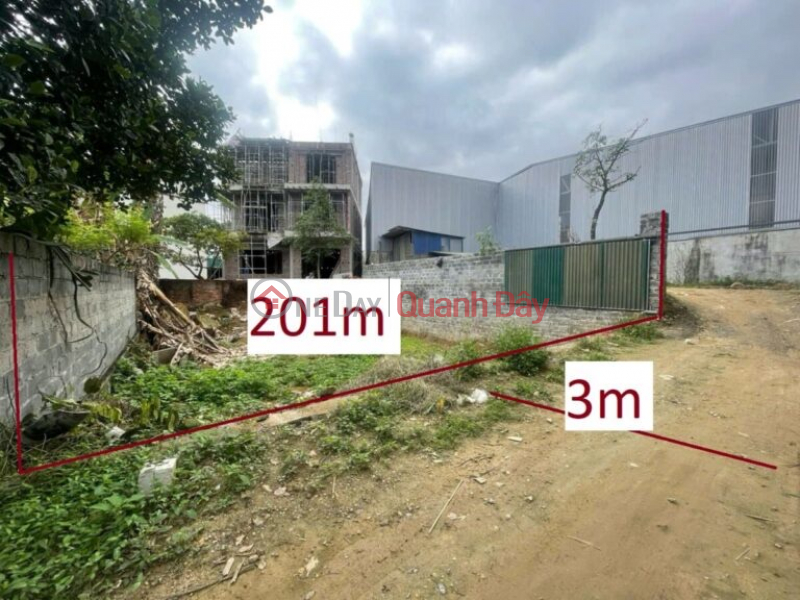 OWNER NEEDS TO SELL 201M2 LAND LOT IN DONG PHUONG YEN-CHUONG MY-HANOI Sales Listings