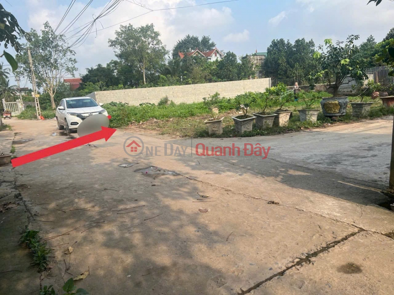 Property Search Vietnam | OneDay | Residential, Sales Listings Auction AB Quan Trach - Lien Nghia - Van Giang 93m frontage 5m car road