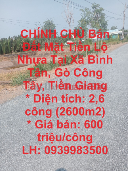 CHÍNH CHỦ Bán Đất Mặt Tiền Lộ Nhựa Tại Xã Bình Tân, Gò Công Tây, Tiền Giang Niêm yết bán