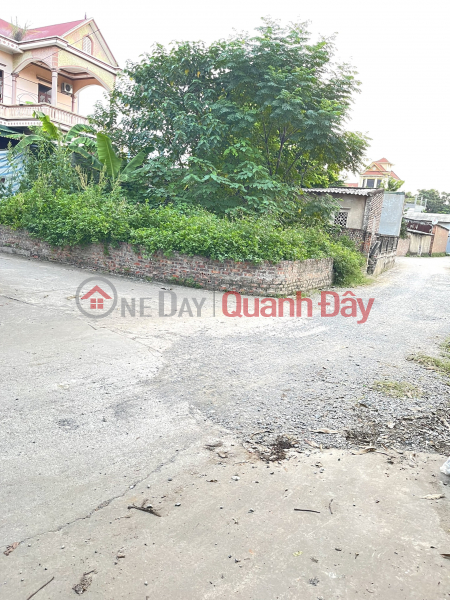 Property Search Vietnam | OneDay | Residential Sales Listings GENERAL FOR SALE LAND Plot 51.6m2 Nui Hamlet Tien Hung Village - NGUYEN KHE DONG ANH - HANOI