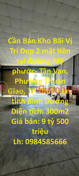 Warehouse for Sale, Nice Location, 2 frontages in Thuan An City, Binh Duong Province Sales Listings