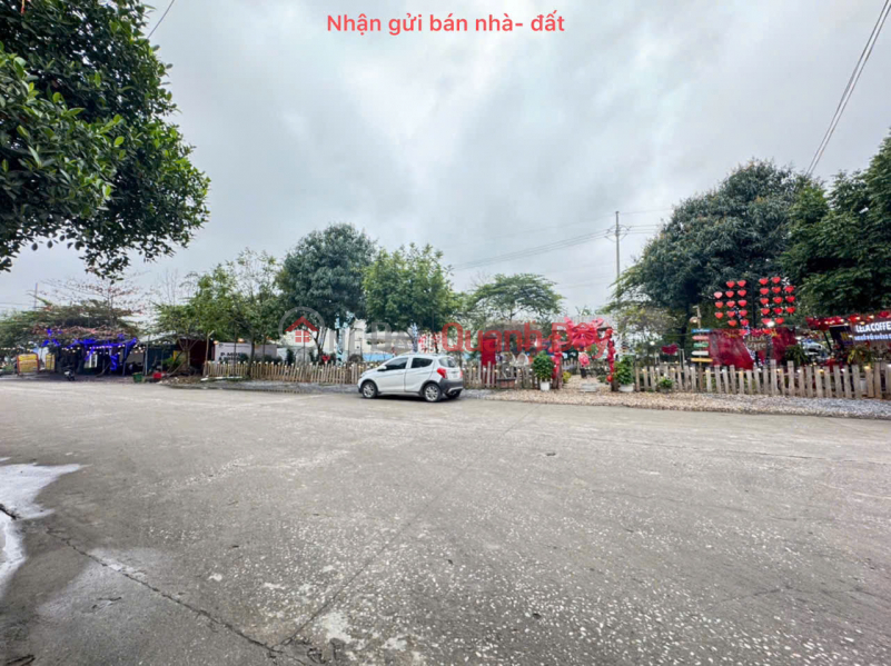 3-storey house for sale, 2 street fronts for business, group 5, Quang Minh town, Me Linh. Near crowded industrial park., Vietnam, Sales | đ 8.7 Billion